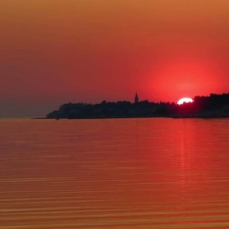 Apartment Novigrad City Centre エクステリア 写真